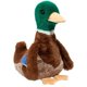 thumbnail image 1 of Peluche Desie Mallard Duck con forma de animal de peluche, 24 meses o más, 1 of 3