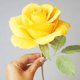 thumbnail image 3 of Kit DIY de Papel Crepé humyeam – Colores Arcoíris – Floral, 3 of 6