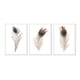 thumbnail image 1 of Set de Cuadros Abstracto Plumas Real con Marco Blanco 50x40 CM, 1 of 1