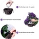 thumbnail image 4 of Cesta Colgante Con Flores Artificiales Purple Morning Glory, 4 of 7