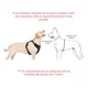 thumbnail image 5 of Arnés de seguridad reflectante con correa ajustable para mayor visibilidad y control durante los paseos para perros pequeños y medianos., 5 of 5