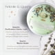 thumbnail image 3 of Candle Aligned Truth Co Sage con selenita y cristal de cuarzo, 240 ml, 3 of 6