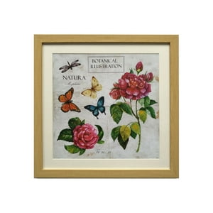 Ronda - Cuadro Lamina Flores Mariposa 50X50 Cm