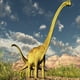 thumbnail image 4 of Puzzle Brachiosaurus Colección Jurásica (100 Piezas) - Toyng, 4 of 4