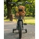 thumbnail image 2 of Bicicleta Infantil Aro12 con Ruedas de Entrenamiento y Canasto, 2 of 5