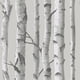 thumbnail image 1 of Papel tapiz NuWallpaper NU1694 Mountain Birch gris 52 x 549 cm, 1 of 3