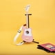 thumbnail image 2 of Correa de guitarra Loog LGWS de polipropileno de 1.5 pulgadas con extremos de cuero, 2 of 4