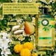 thumbnail image 4 of Shampoo Herbal Essences Classic Shine Chamomile, 4 of 5