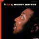 thumbnail image 1 of Vinilo GROOVE REPLICA Muddy Waters 180 g + CD, 1 of 2