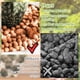 thumbnail image 5 of Guijarros de arcilla Legigo, 8,6 kg, 4 mm a 16 mm, 100% naturales para plantas, 5 of 7