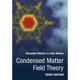 thumbnail image 1 of Libro Cambridge University Press – Teoría de Campo de la Materia Condensada, 1 of 1
