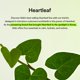 thumbnail image 3 of Kit De Cuidado De La Piel Abib Heartleaf Calming Con 4 Productos Mini, 3 of 9
