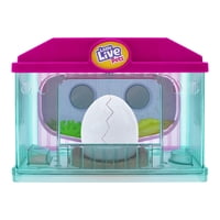 Casa Para Incubar Pollitos Sorpresa De Little Live Pets, De Juguete Coleccionable