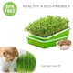 thumbnail image 4 of Bandeja para germinar semillas SUNPRO con tapa antihumedad, paquete de 2, 4 of 7