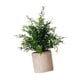 thumbnail image 3 of Mini Planta Falsa En Maceta, Regalo De Inauguración De La Casa, Decoración Para El Hogar, Dormitorio, Balcón, Estilo B, 3 of 5