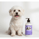 thumbnail image 2 of Acondicionador De Avena Perro & Gato Piel Sensible 1 Litro, 2 of 4