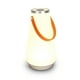 thumbnail image 2 of Portable USB Rechargeable Ambient Light For Bedroom, Living Room, Hanging LED Camping Lamp With Touch Switch, 2 of 4