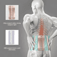 thumbnail image 2 of Faja lumbar soporte hernia ortopedia apoyo espalda #2, 2 of 3