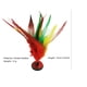 thumbnail image 2 of 1pc Handmade Chinese Jianzi Foot Sports Toy - Colorful Feather Kick Shuttlecocks for Adults/youth/children - Training Hand-foot Coordination Goods, 2 of 4