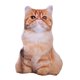 thumbnail image 5 of Almohada De Felpa De Simulación, Juguetes Divertidos Para Ni?os, Para Oficina, Habitación De Ni?os, Sofá, Garfield, 5 of 5