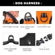 thumbnail image 4 of Chaleco reflectante con clip frontal ajustable PHOEPET con arnés para perros, 4 of 6