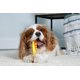 thumbnail image 4 of Dog Chew & Treat para perros Hartz Chew 'n Clean Dental Duo, paquete de 3, 4 of 8
