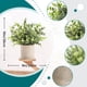 thumbnail image 2 of Fake Plants Der Rose, minimaceta de eucalipto, paquete de 3 unidades, 2 of 8