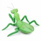 thumbnail image 2 of Peluche ZHONGXIN MADE mantis verde realista de 18 cm, 2 of 6