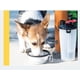 thumbnail image 4 of Vaso de viaje para perros y gatos, 2 en 1, para agua y cereales, con dos cuencos plegables, portátil para viajes al aire libre., 4 of 6