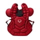 thumbnail image 2 of EvoShield SRZ-1™ Kit de Equipo para Receptor de Béisbol – Rojo Escarlata, Intermedio, 2 of 8