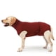 thumbnail image 1 of Chaqueta reflectante de forro polar para perros, ideal para climas fríos, para mascotas de tamaño extra grande y pequeño., 1 of 6