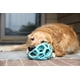 thumbnail image 5 of Pelota de rompecabezas para perros JW Pet Hol-ee Roller™ de caucho natural, 5 of 5