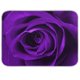 thumbnail image 1 of Alfombrilla de secado Blueangle de microfibra con rosas moradas, 40,6 x 45,7 cm, 1 of 7