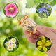 thumbnail image 2 of Mini prensa flores llavero kit con 20 papeles portátil flores miniatura secado arte, 2 of 6