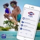 thumbnail image 5 of Shock para Piscina Clorox Pool & Spa Shock Clear Paquete de 6, 5 of 5
