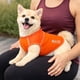 thumbnail image 5 of Playera sin Mangas para Perro Pet Life Active Aero-Pawlse Jaspeada, 5 of 9