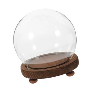 Magideal - Vitrina De Cristal Vacía Con Forma De Cúpula, Terrario De Micropaisaje Prémium Para Bricolaje, Para Decoración De Recuerdos De Fiestas Navideñas, Foto 10Cm