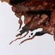 thumbnail image 3 of Tinta Para Dibujo Winsor & Newton 14ml - Varios Colores, 3 of 4