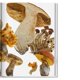 thumbnail image 5 of The Gourmand's Mushroom. A collection of stories and recipes, 5 of 5