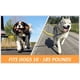 thumbnail image 4 of Bike Tow Leash La mejor correa de bicicleta para perros de 4,5 a 84 kg (naranja), 4 of 5