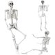 thumbnail image 1 of Wocst Esqueleto de Halloween de cuerpo completo, tamaño real, 165 cm, 1 of 3