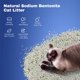 thumbnail image 2 of Arena para Gatos LALAHOME 6,8 kg Bentonita sin Polvo, 2 of 7