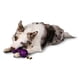 thumbnail image 2 of Juguete para perros Mordible Hueso Waggle Mediano, 2 of 5