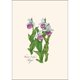 thumbnail image 4 of Set de tarjetas de notas Earth Sky + Water – 8 tarjetas surtidas, 4 of 5