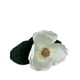 thumbnail image 3 of Magnolia Blanca 74cm Con Acabado Natural, 3 of 3