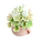 thumbnail image 5 of Planta En Maceta En Miniatura, 1/12, Dormitorio, Modelo De Flor Artificial, Suministros De Paisaje, 5 of 5