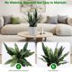 thumbnail image 4 of Planta artificial BTHM DSGN 56 cm realista en maceta, 4 of 7