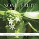 thumbnail image 5 of Sérum rejuvenecedor nocturno AHA KORA Organics Noni Night 30 ml, 5 of 7