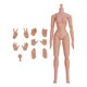 thumbnail image 5 of Juguetes De Cuerpo Musculoso De 12 Pulgadas, Coleccionables En Miniatura, Hombros Estrechos Desmontables, Hembra Normal, 5 of 5