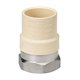 thumbnail image 1 of Adaptador de transición Homewerks Worldwide de 1 pulgada FPT CPVC, 1 of 1